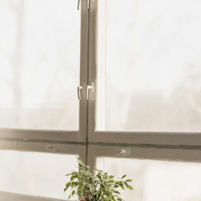 Serene indoor space with a potted plant on a sunlit window sill.
